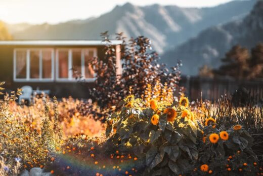 Comment préparer dès à présent son jardin d'automne pour un printemps fleuri ?